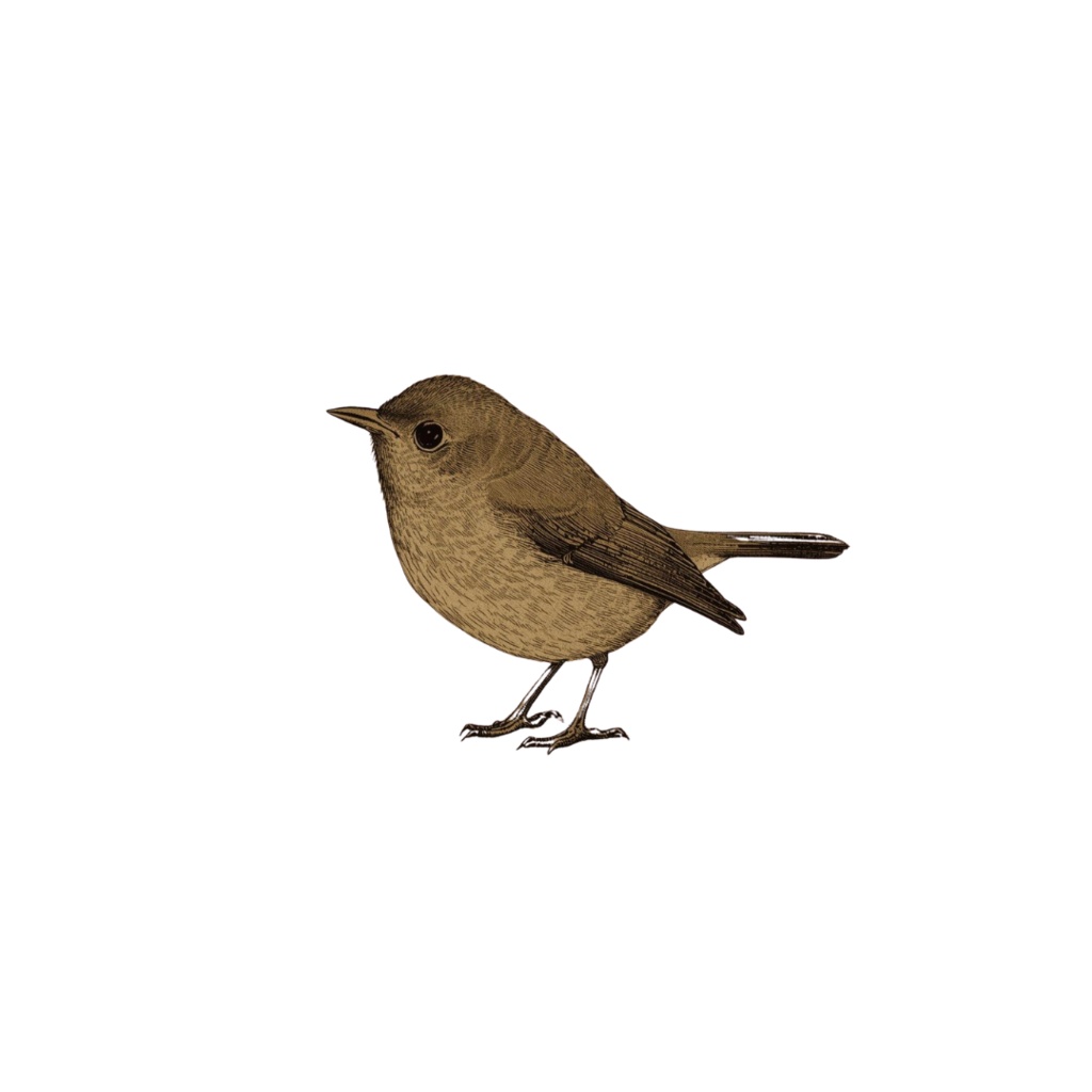 アンティーク風ジャンクジャーナル素材30個セット|PNGダウンロード⦅canva⦆