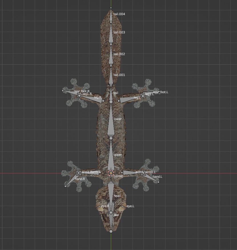 フランジヘラオヤモリ 3D モデル