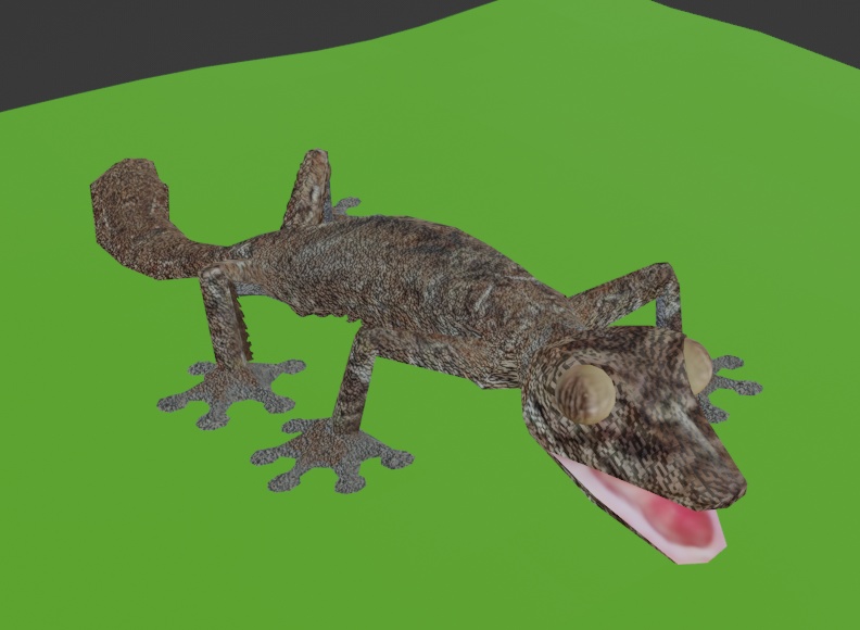 フランジヘラオヤモリ 3D モデル