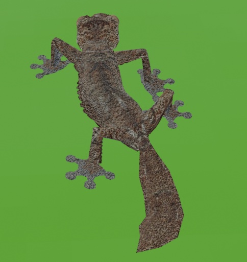 フランジヘラオヤモリ 3D モデル