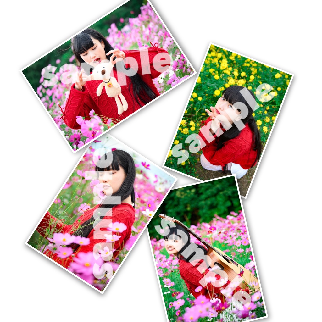 MIA.のコスモスブロマイド💐2024