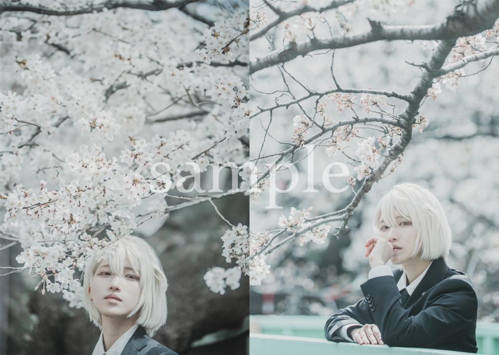 棗巳波中心写真集「憂春」