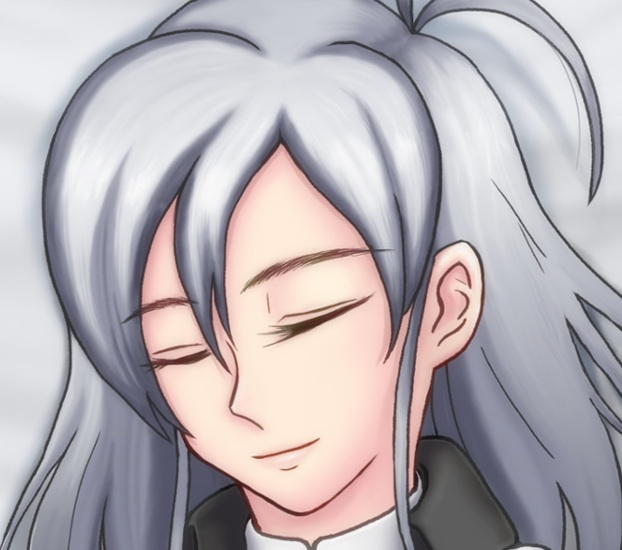 リーズバイフェ抱きまくらカバー