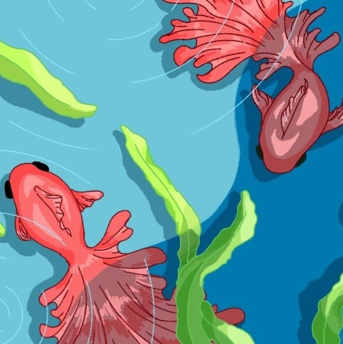 金魚と水草(ヘッダー)