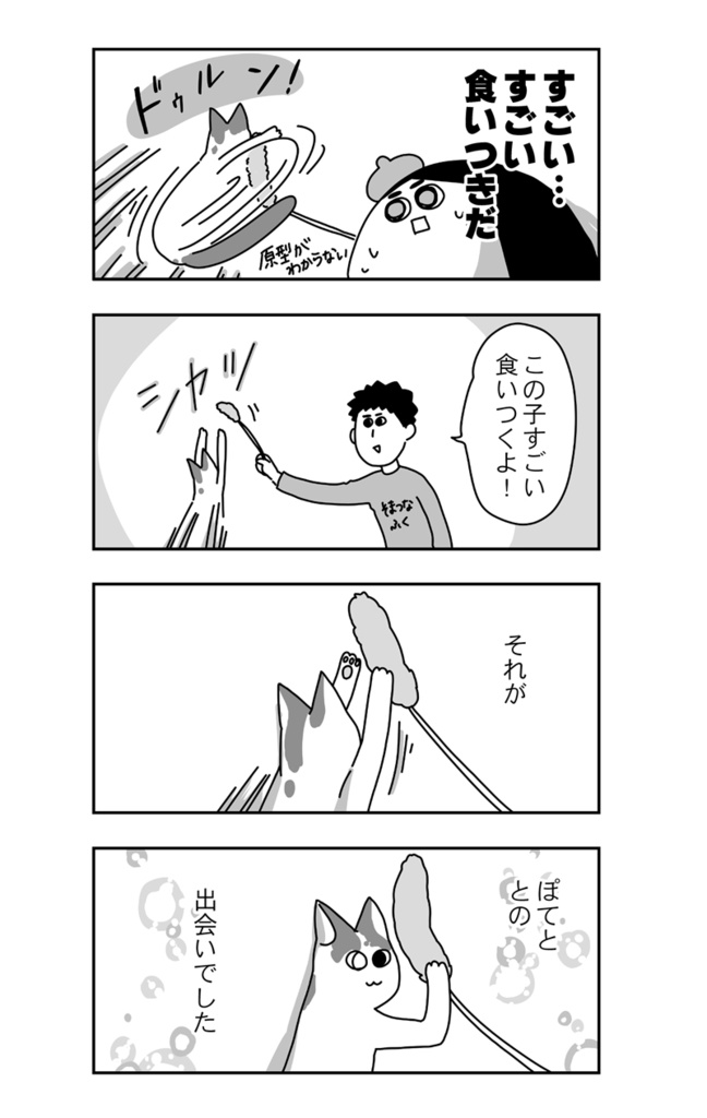 ヲタ夫婦保護猫をお迎えする