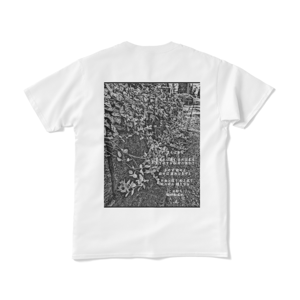 a-164 黄金の華 朱鷺茜 小判の木 Breynia nivosa