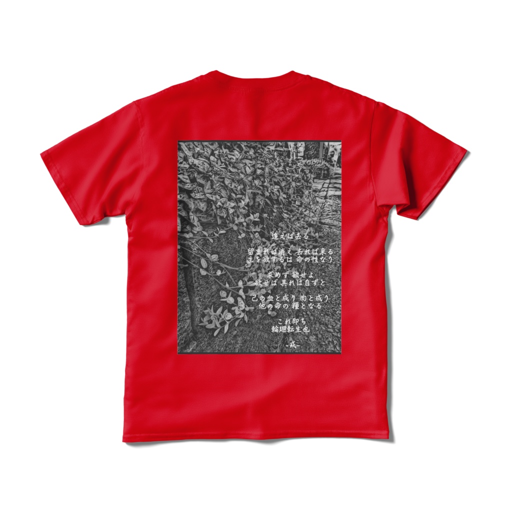 a-164 黄金の華 朱鷺茜 小判の木 Breynia nivosa