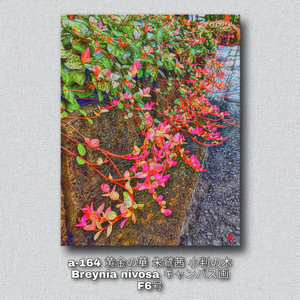a-164 黄金の華 / 朱鷺茜 小判の木 Breynia nivosa キャンバス画 F-6