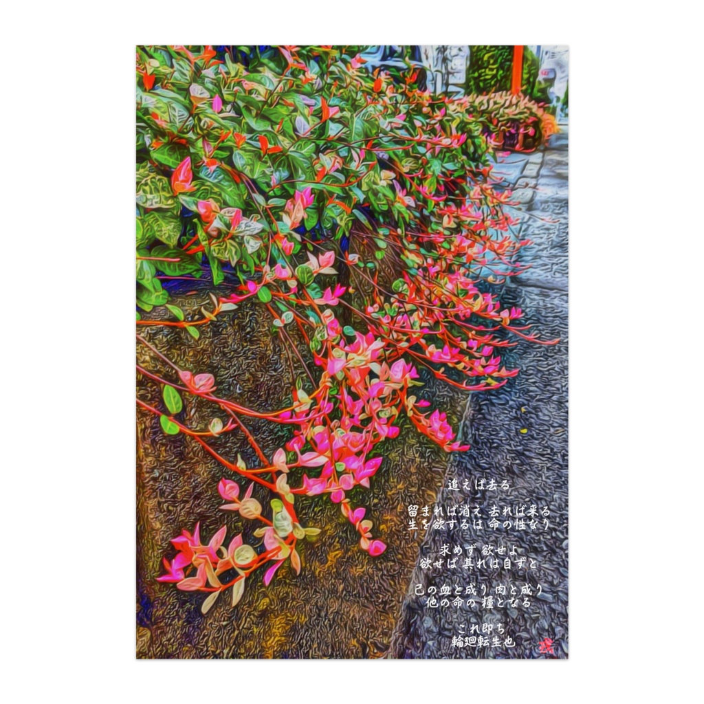 a-164 黄金の華 / 朱鷺茜 小判の木 Breynia nivosa ポスター (半光沢)