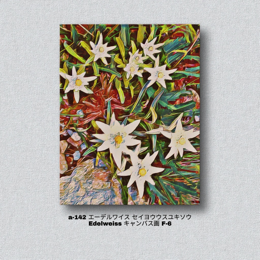 a-142 エーデルワイス セイヨウウスユキソウ Edelweiss キャンバス画 F-6