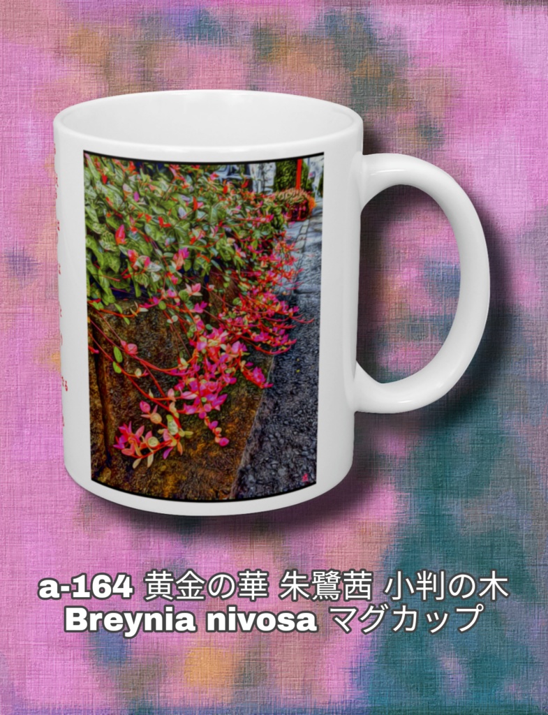 a-164 黄金の華 朱鷺茜 小判の木 Breynia nivosaマグカップ