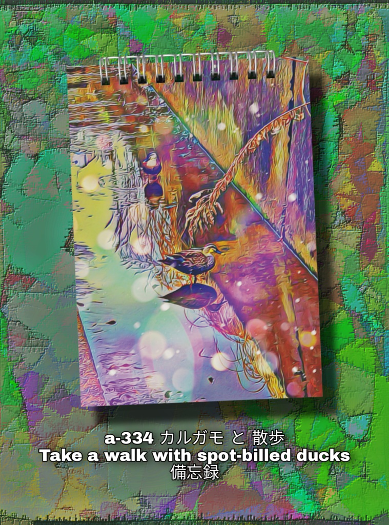 a-334 カルガモ と 散歩 Take a walk with spot-billed ducks 備忘録