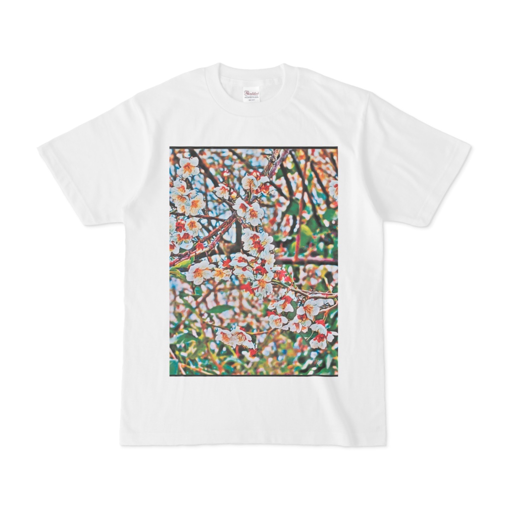 a-384 サクラサク Bloomed Tシャツ