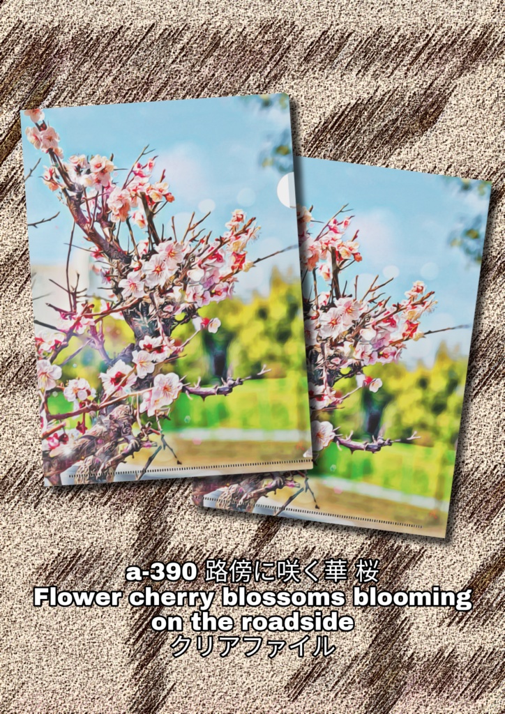 a-390 路傍に咲く華 桜 Flower cherry blossoms blooming on the roadside クリアファイル