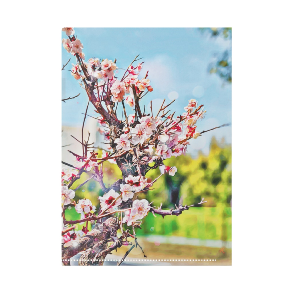 a-390 路傍に咲く華 桜 Flower cherry blossoms blooming on the roadside クリアファイル