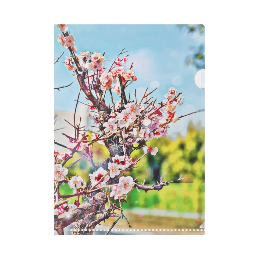 a-390 路傍に咲く華 桜 Flower cherry blossoms blooming on the roadside クリアファイル