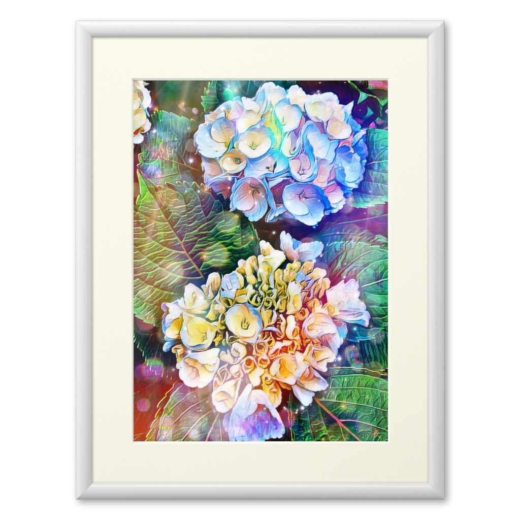 a-513 梅雨 紫陽花 Rainy season hydrangea プリモアート(複製画)