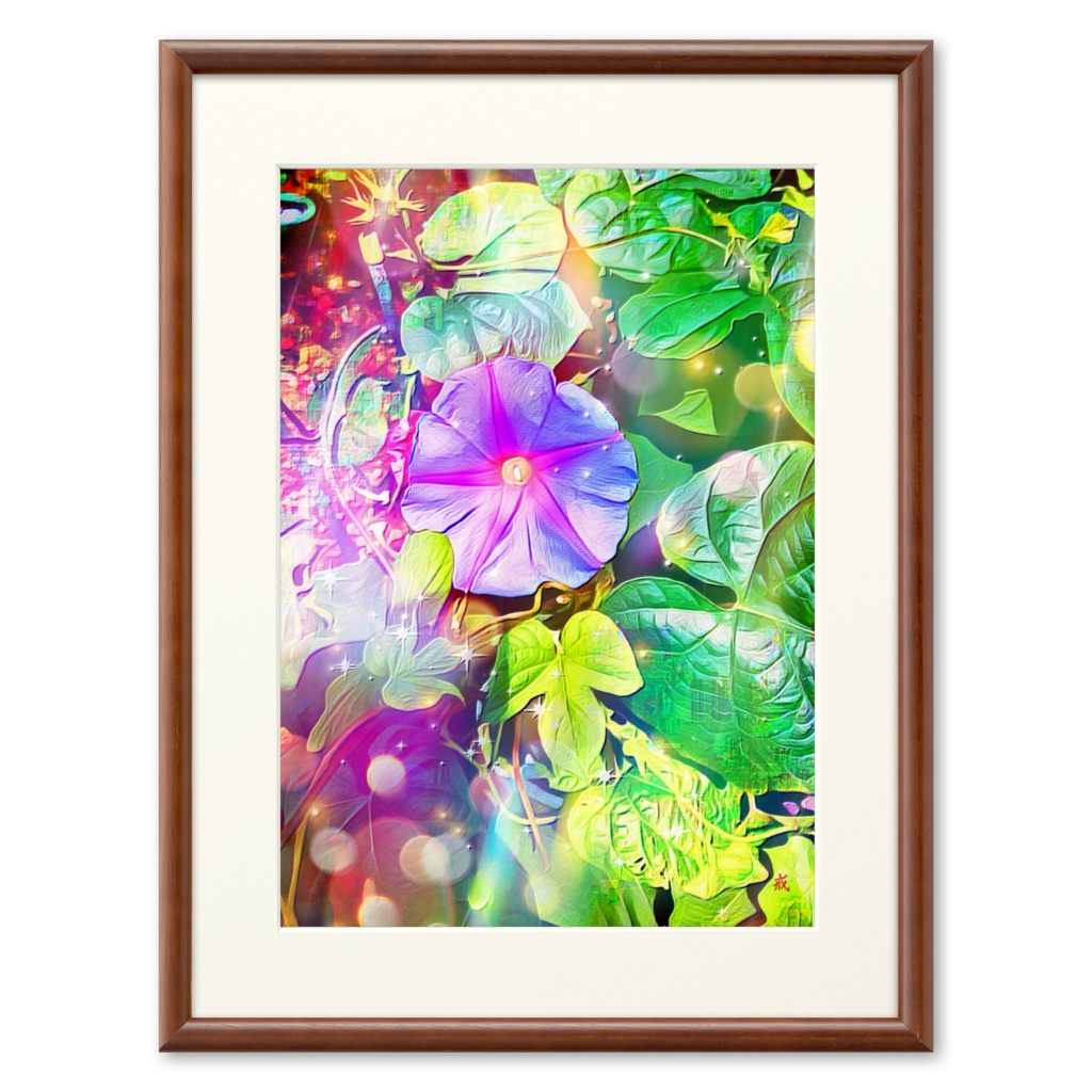 a-522 朝顔 Morning star プリモアート(複製画)