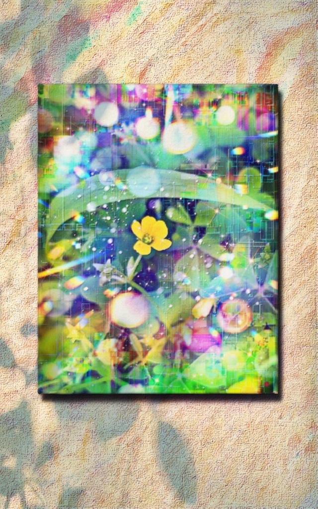 a-2013 一輪の可憐 Aesthetic of Solitude キャンバスアート - F6