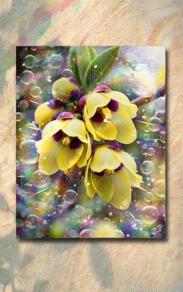 a-2545 瑞光に微笑みゆれる庭 Beloved Winter Smiles