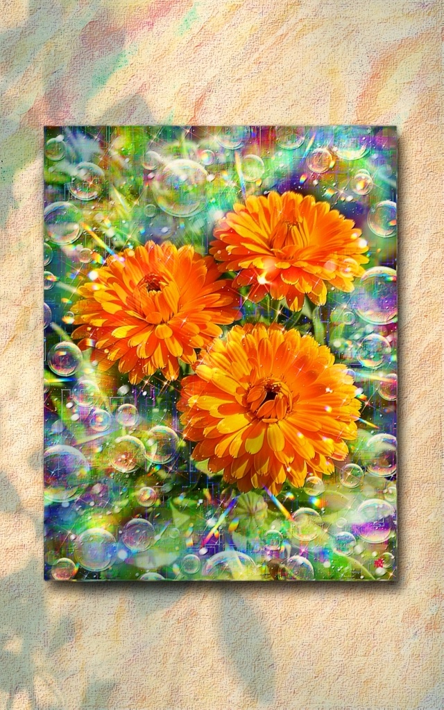 a-2555 寒紅の庭の希望の微笑み Eternal Warmth 