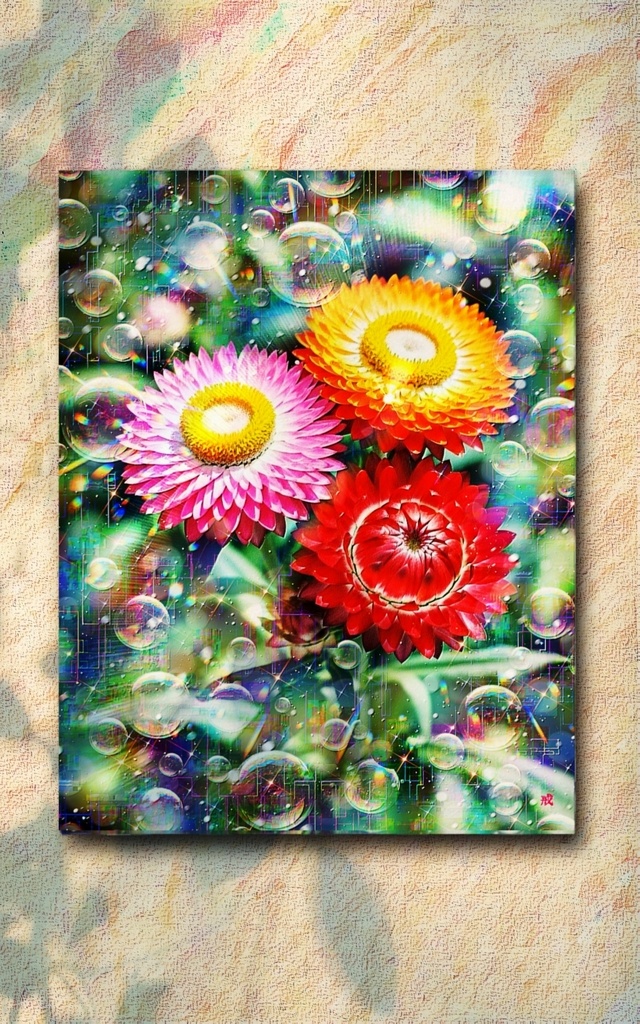 a-2565 霜影に宿る春呼ぶ笑み Hope’s Radiant Dawn