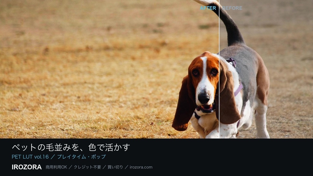 IROZORA PET LUT vol.16|ペット・動物 76点 商用利用OK