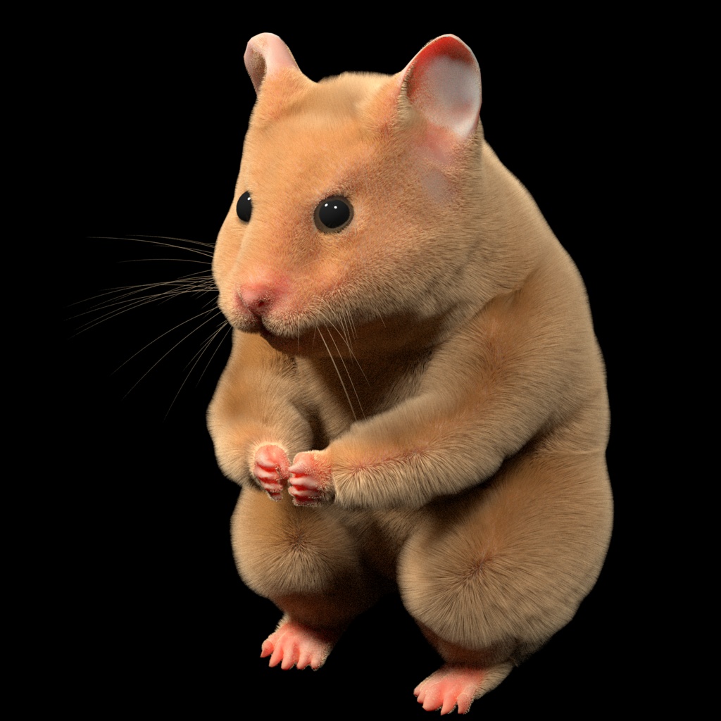 Animal3DCG：雑種のハムスター(Hamster)