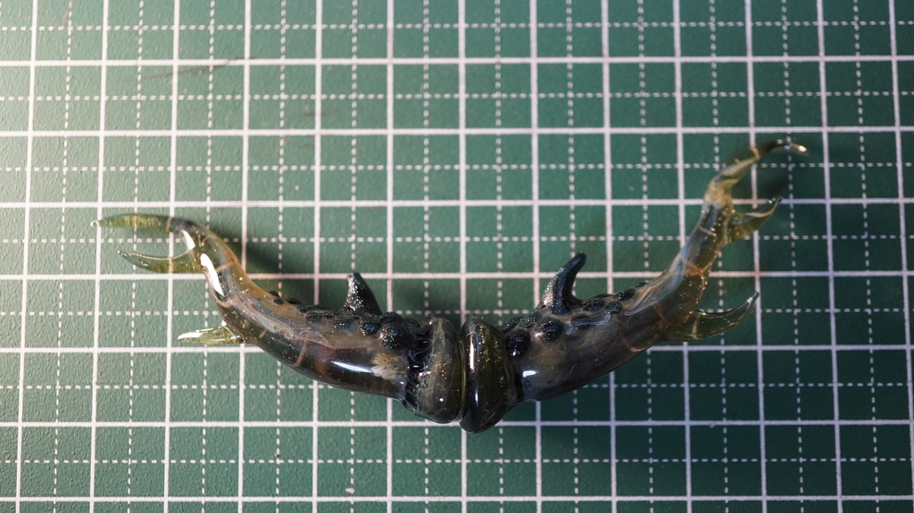 龍の角(色変化)