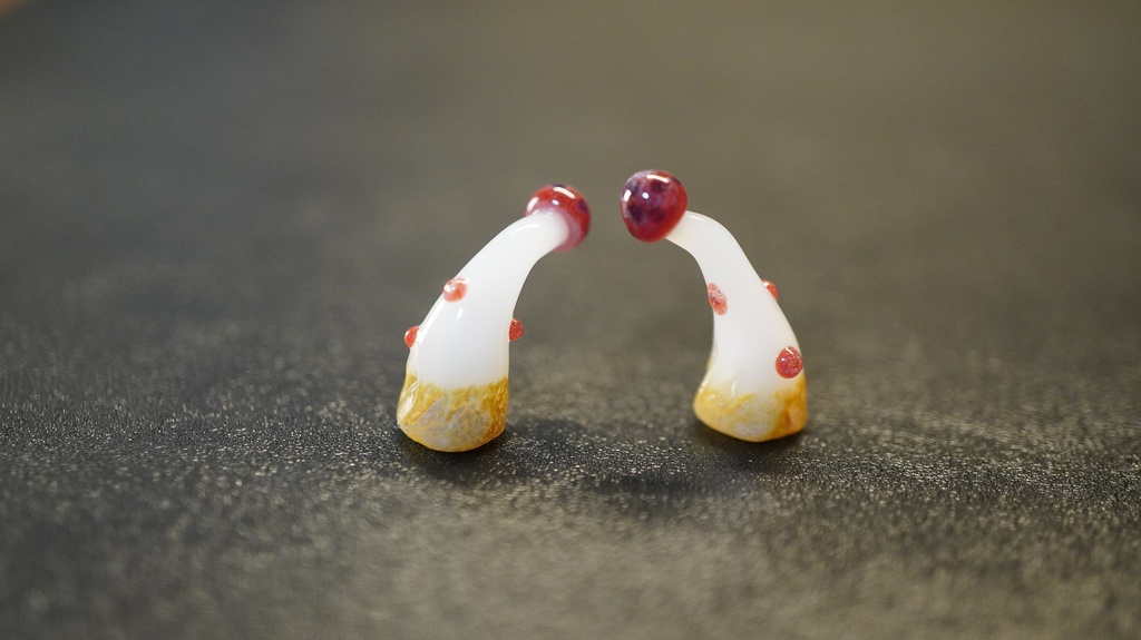 きのこ角(豆角)