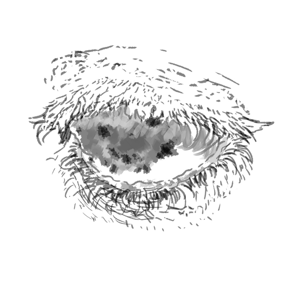 【DL】face & eye【イラスト集】