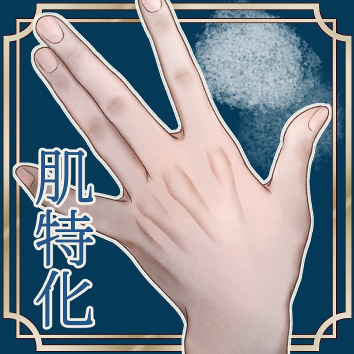 【クリスタ用ブラシ】肌特化ブラシセット