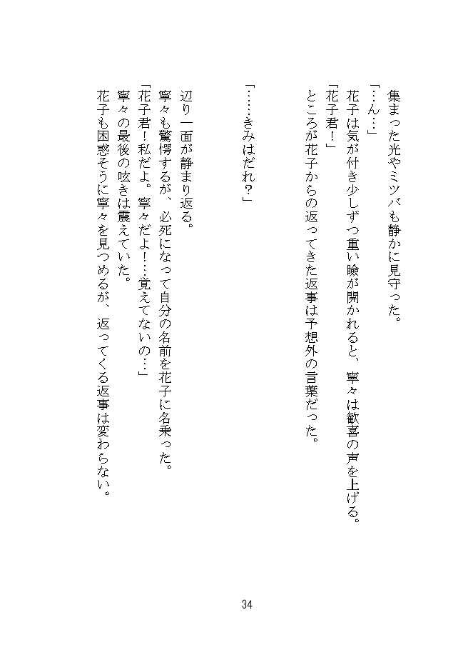 無限大の終焉を!(花子君)