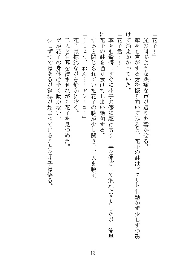 無限大の終焉を!(花子君)