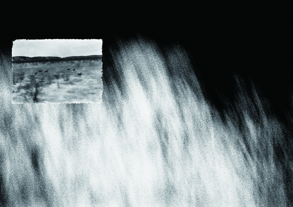 TABI SHIRUBE 2022 01-03