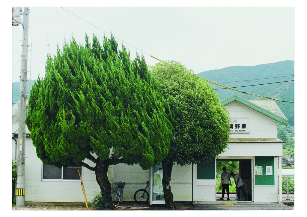 TABI SHIRUBE 2022 05-12