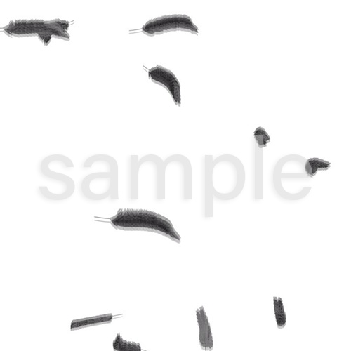 Raven 動画素材まとめ