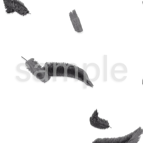 Raven 動画素材まとめ