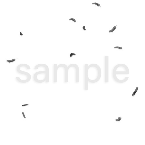 Raven 動画素材まとめ