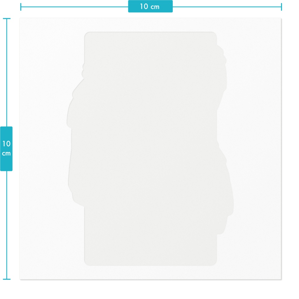 プレジール【レイヴン】/2025ハロウィン