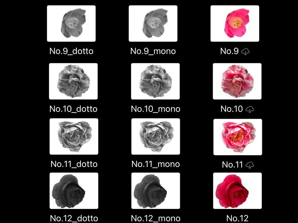 【コラージュ素材】花(椿・アネモネ)