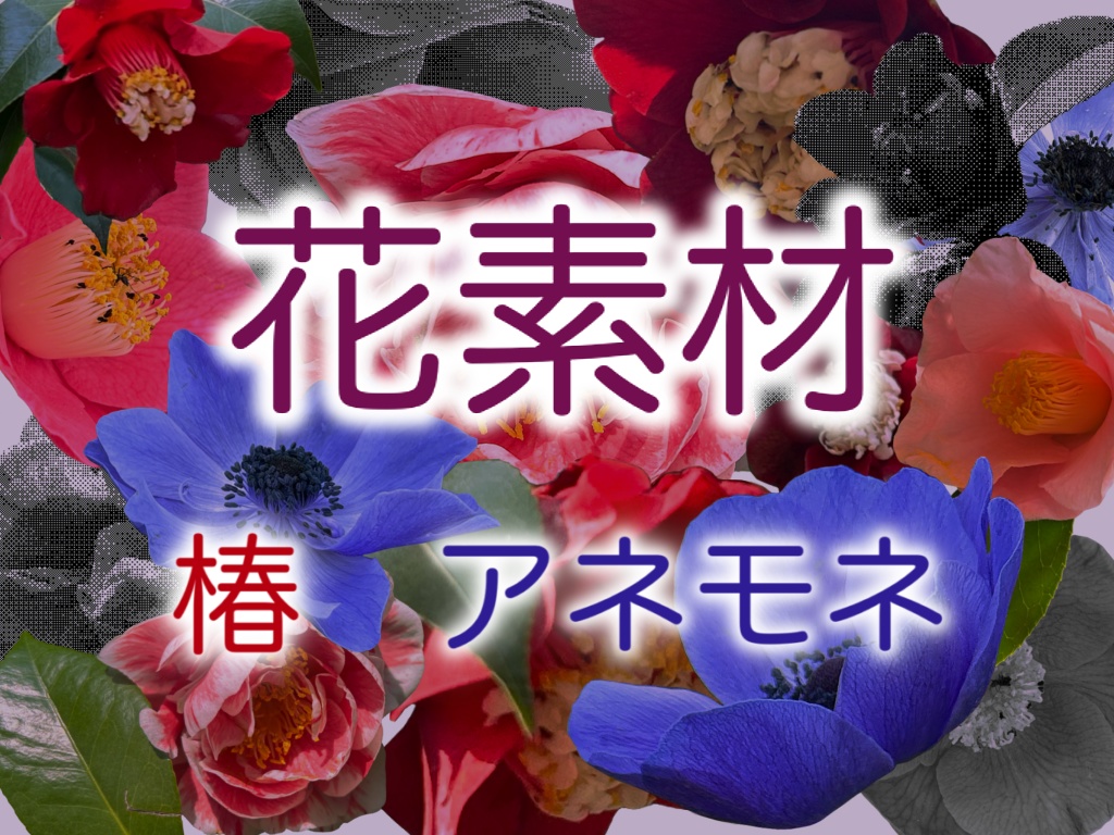 【コラージュ素材】花(椿・アネモネ)