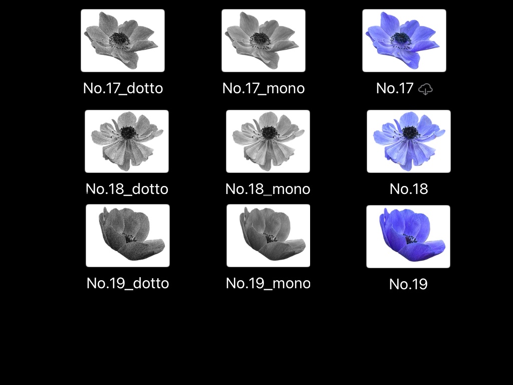 【コラージュ素材】花(椿・アネモネ)