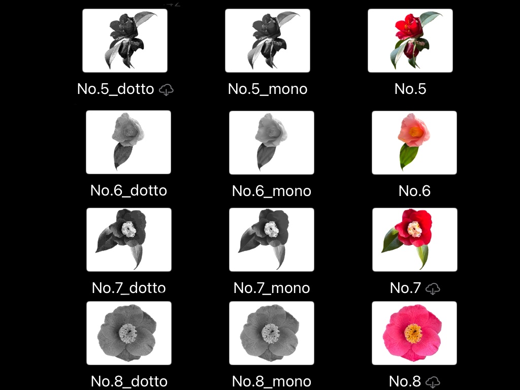 【コラージュ素材】花(椿・アネモネ)