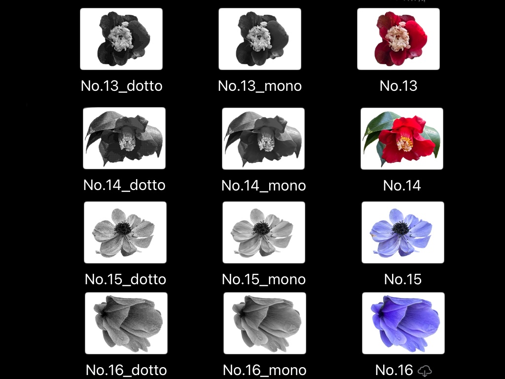 【コラージュ素材】花(椿・アネモネ)