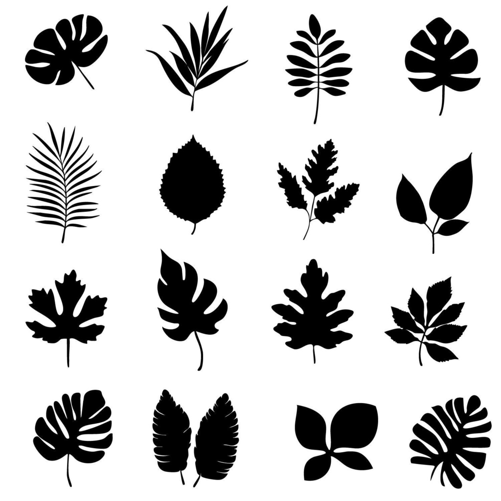 植物の葉のシルエットセット