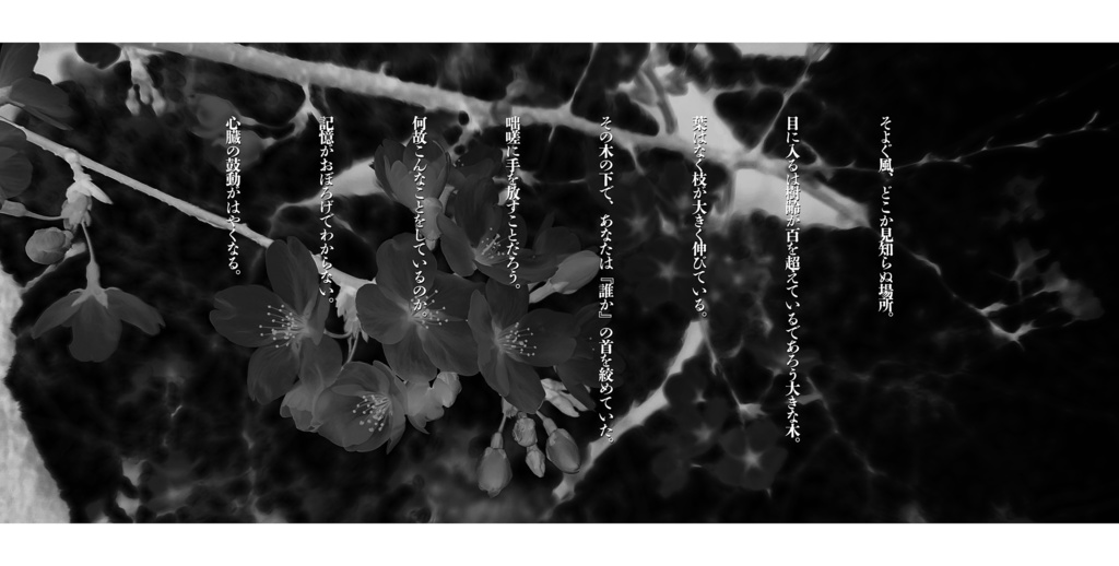 桜が咲くのは誰が為か?