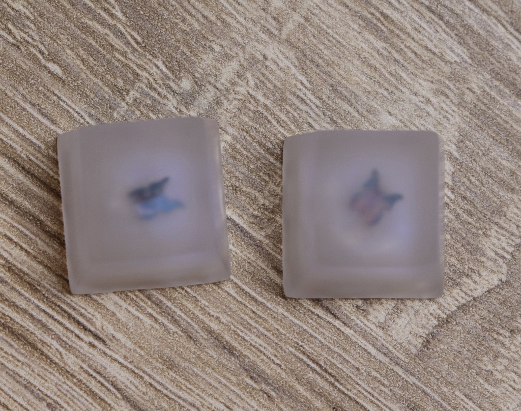 フローズンバタフライキーキャップ / Frozen butterfly