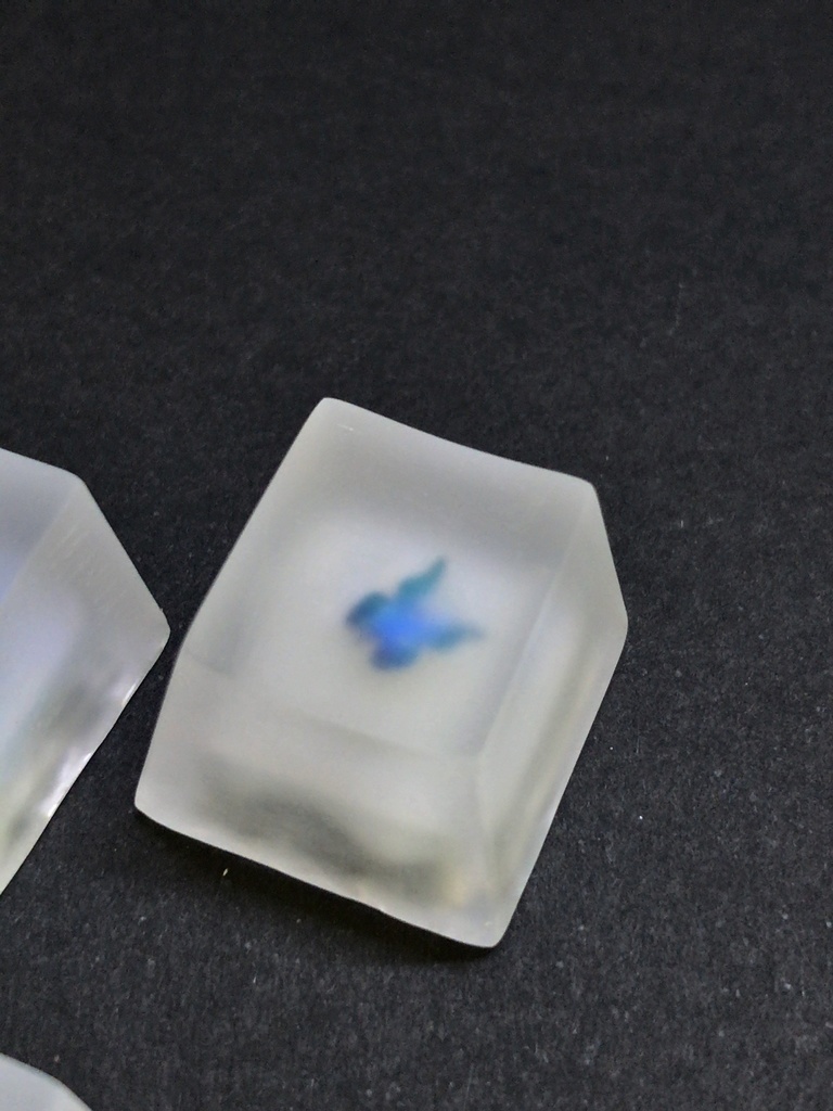 フローズンバタフライキーキャップ / Frozen butterfly