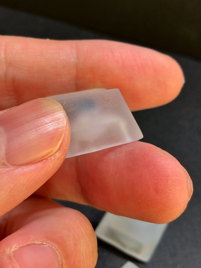 フローズンバタフライキーキャップ / Frozen butterfly